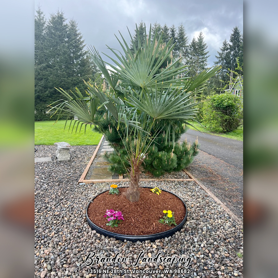 Brandon Landscaping